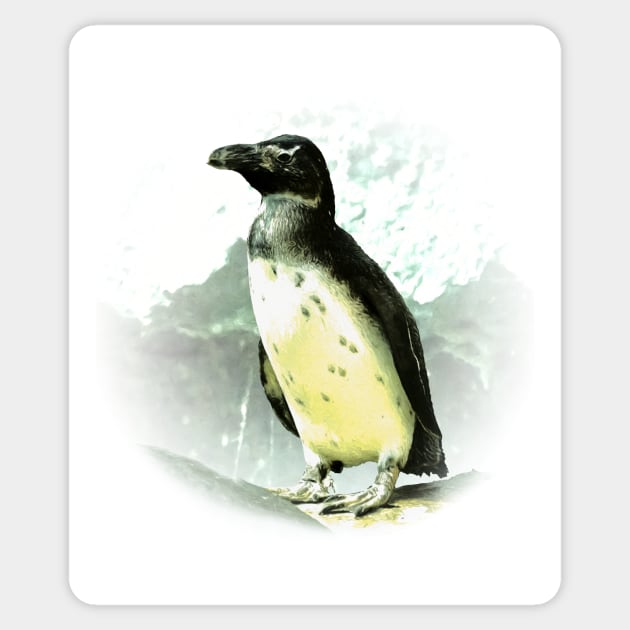 Penguin Sticker by Guardi